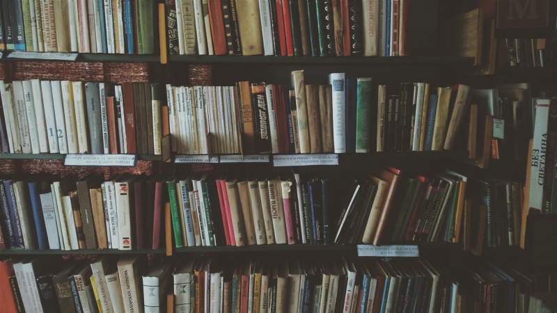 librairie-LE CASTELLET-min_bookcase-1869616