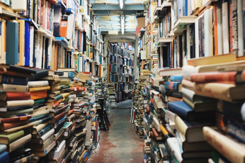 librairie-LE CASTELLET-min_books-768426